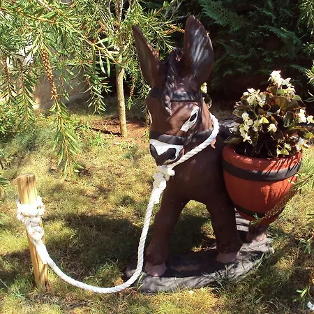 Mogorovic Mošćenička Draga