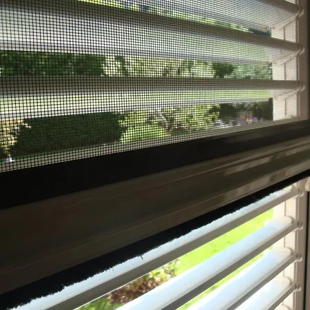 Mogorovic Mošćenička Draga