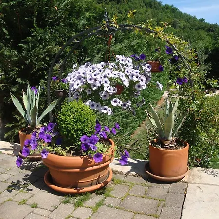 Mogorovic Appartement *