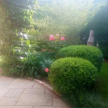 Mogorovic Mošćenička Draga