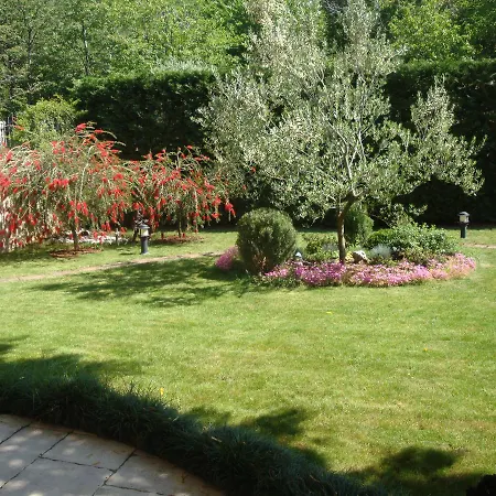 Apartment Mogorovic *